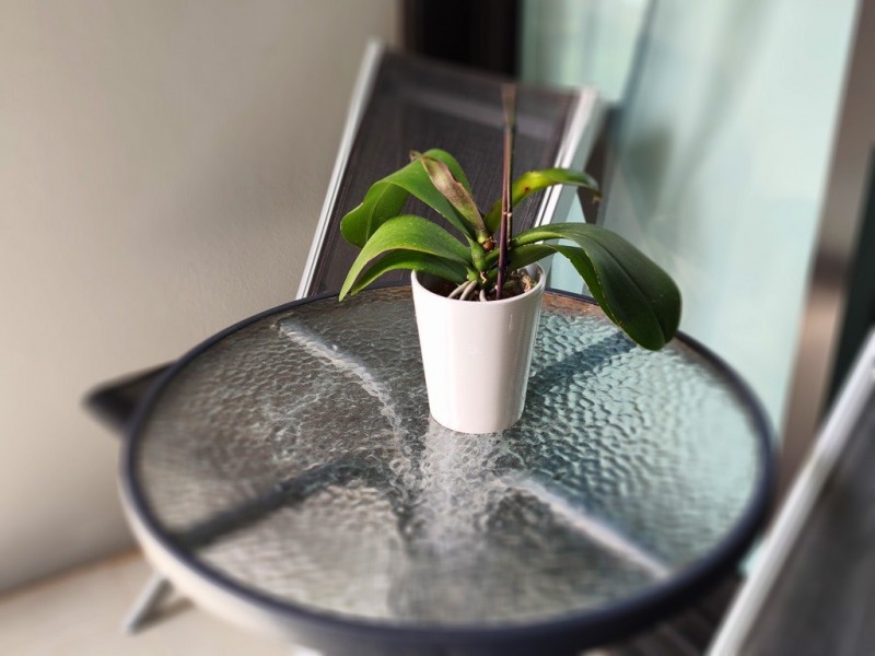 613/1 Network Place, North Ryde NSW 2113