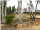 7 Hawkins Road, Coonabarabran NSW 2357