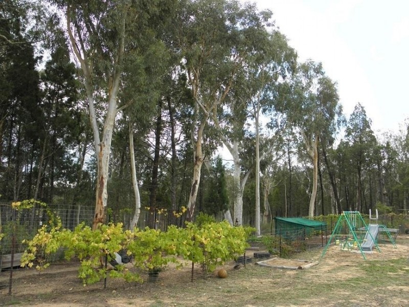 7 Hawkins Road, Coonabarabran NSW 2357