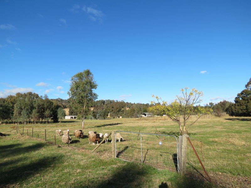 3 Benedict Avenue, San Isidore NSW 2650