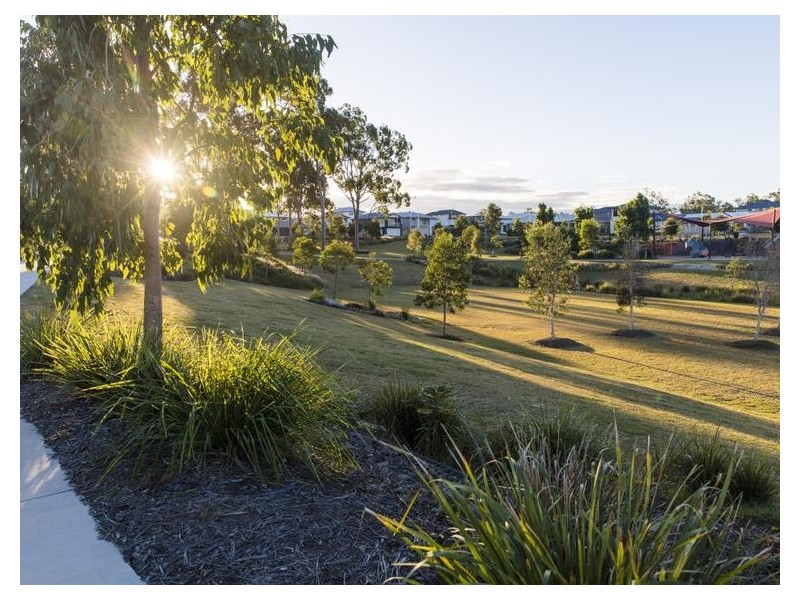 3 Brushbox Street, Ripley QLD 4306