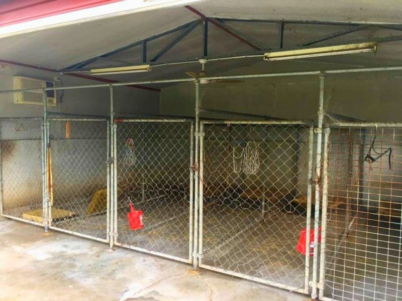 8 White Street, Bundamba QLD 4304