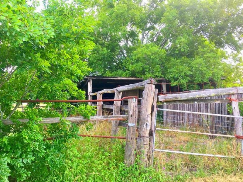 8 White Street, Bundamba QLD 4304