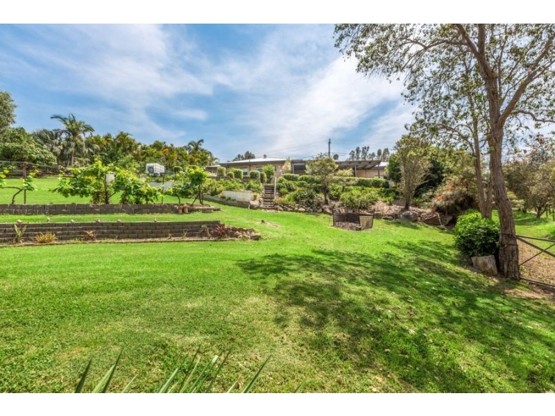 16 Elkhorn Street, Fernvale QLD 4306