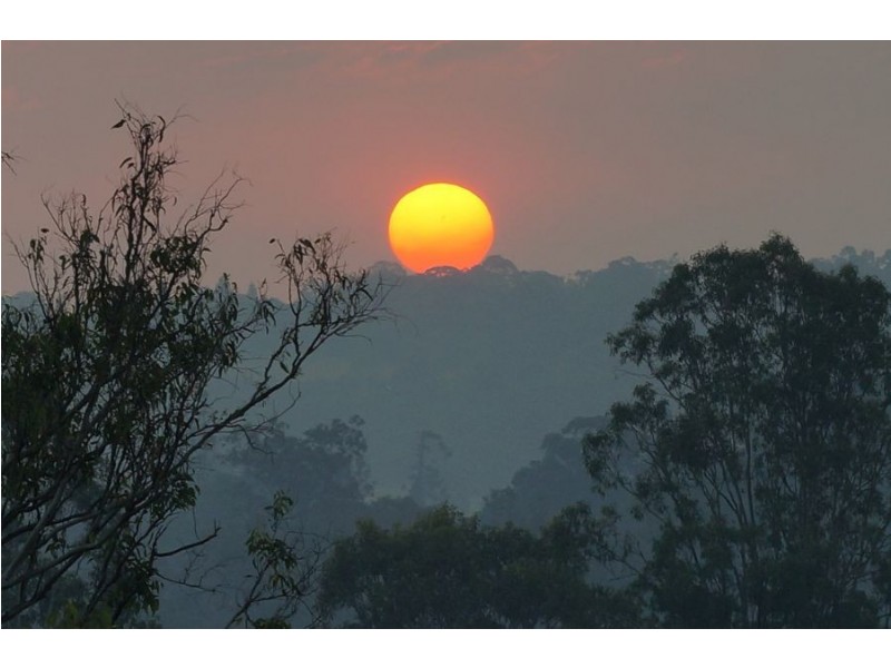 56 Marsilea Road, Fernvale QLD 4306