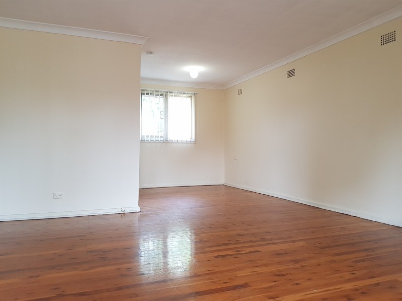 20 Niland Crescent, Blackett NSW 2770