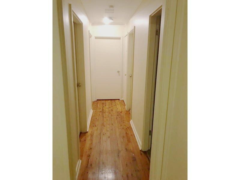 20 Niland Crescent, Blackett NSW 2770