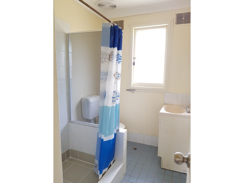 20 Niland Crescent, Blackett NSW 2770