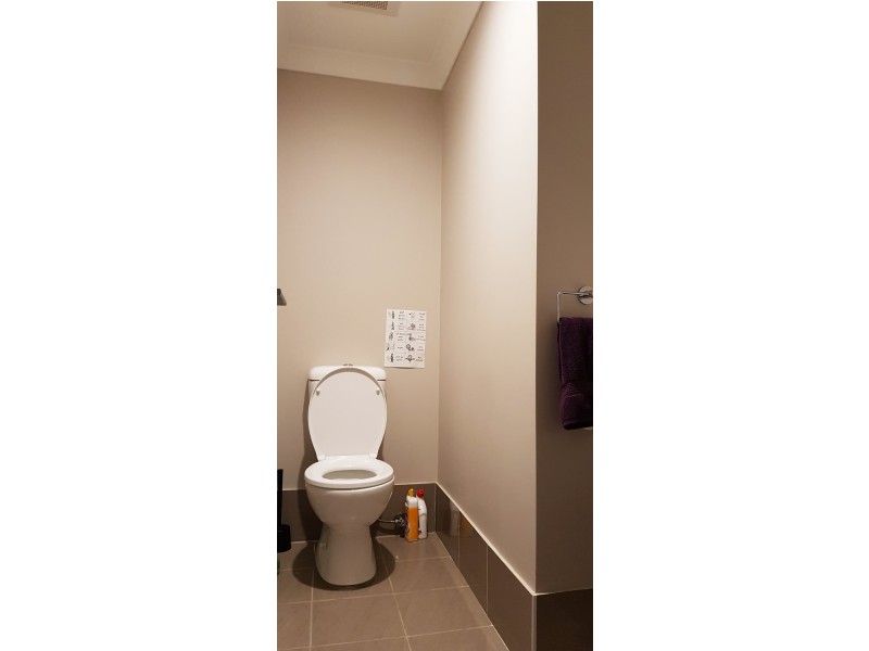 18  Diamond Hill Circuit, Edmondson Park NSW 2174