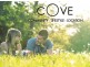 113 The Cove Estate, Redbank QLD 4865