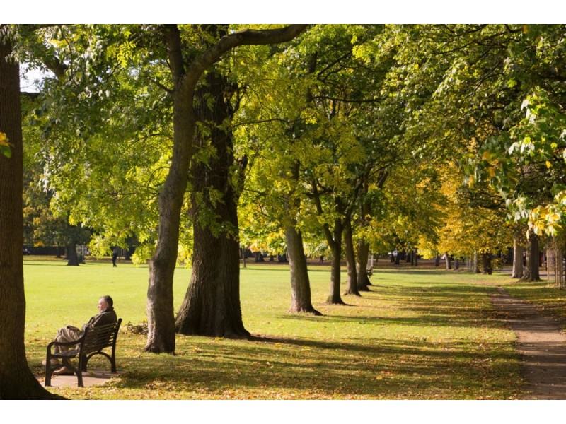 5 / 25 Barrymore Street, Everton Park QLD 4053