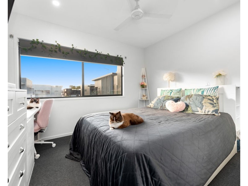 41/38 Creekside Terrace, Albany Creek QLD 4035