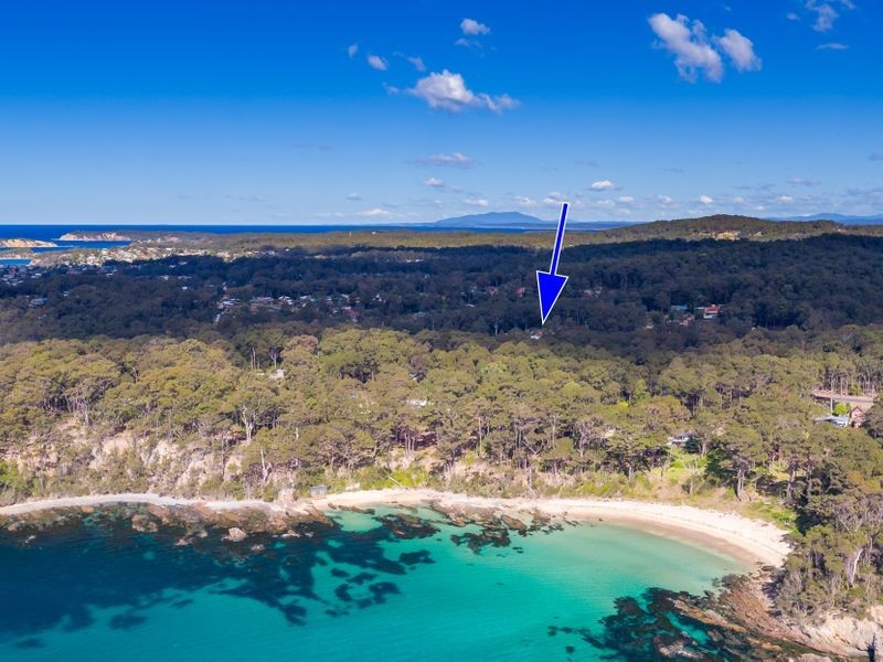 12 Carramar Drive, Lilli Pilli NSW 2536