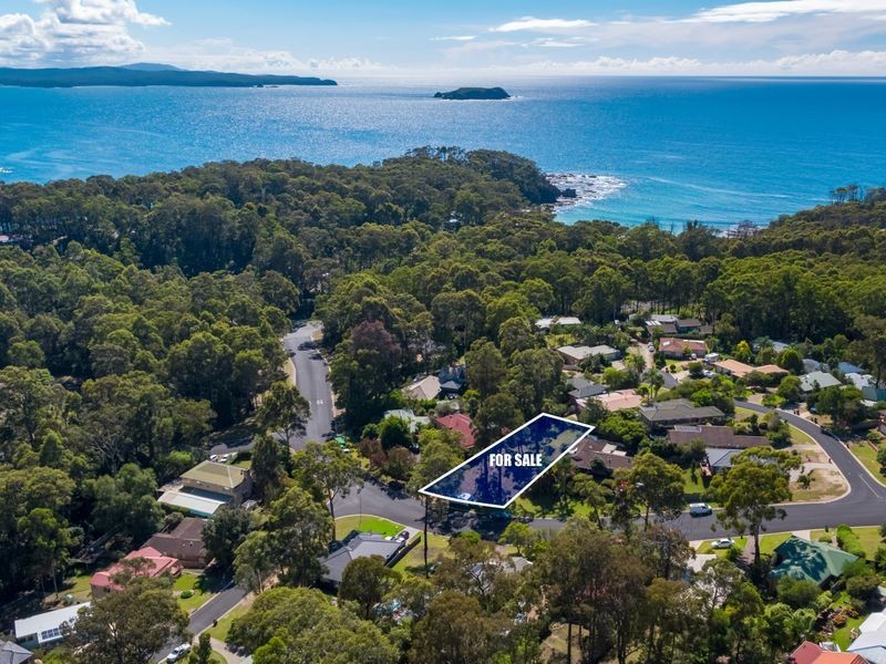 12 Carramar Drive, Lilli Pilli NSW 2536