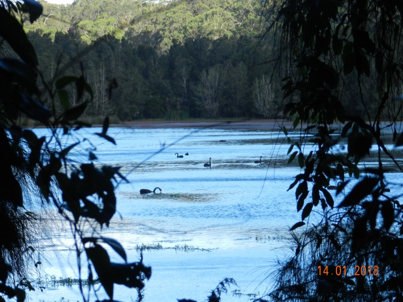 3 SUNFIELD COURT, Tomakin NSW 2537