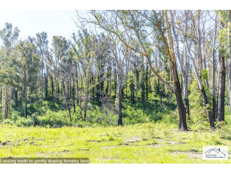 416 MAULBROOKS ROAD, Mogo NSW 2536