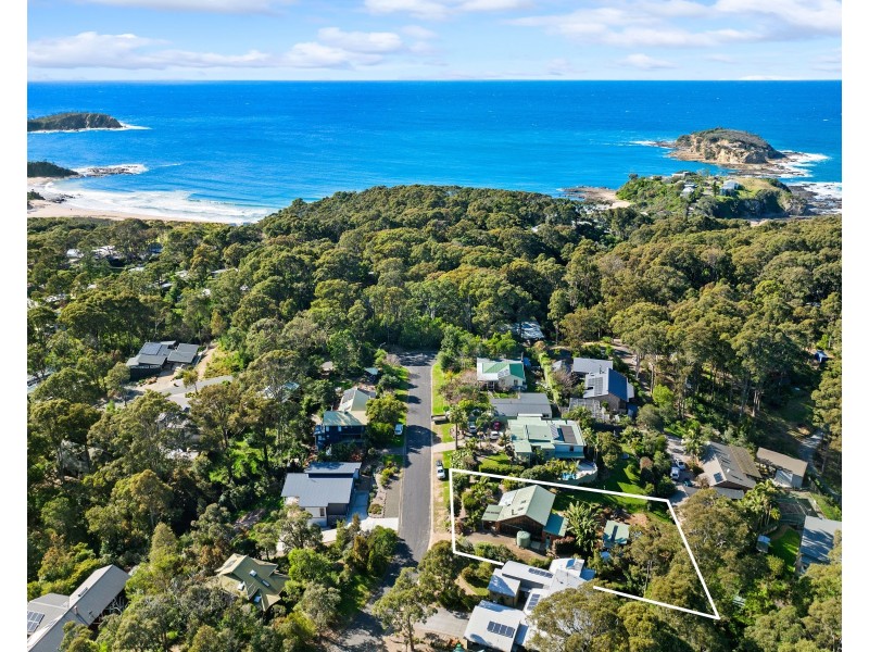31 Tallwood Crescent, Rosedale NSW 2536