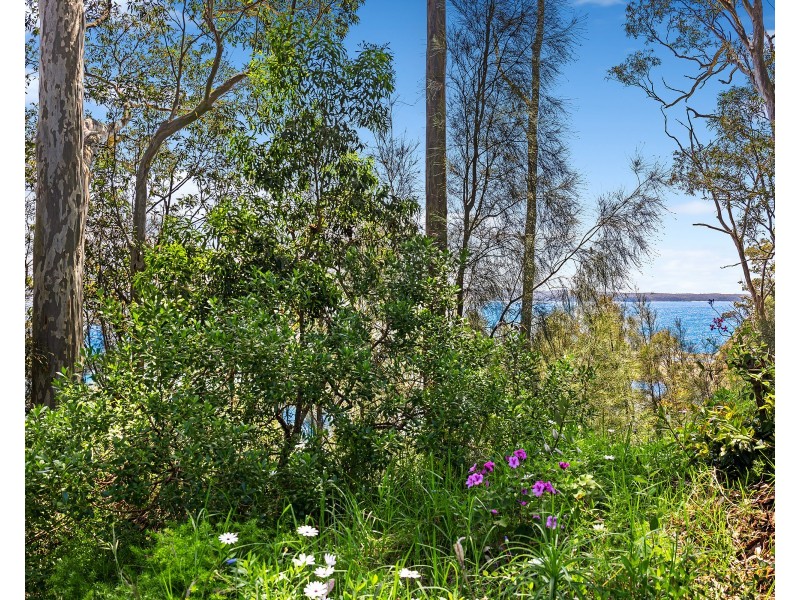 10 Beechwood Court, Sunshine Bay NSW 2536