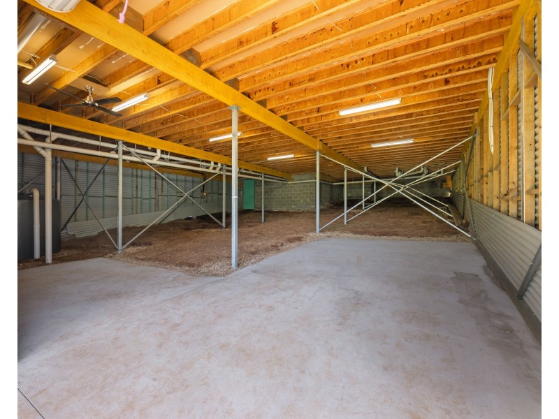 3 Oakwood Way, Catalina NSW 2536