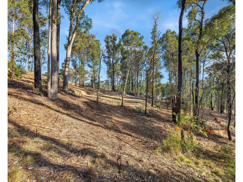 44 Yowani Road, Rosedale NSW 2536