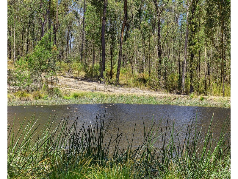 1562 PRINCES HIGHWAY, Bimbimbie NSW 2536