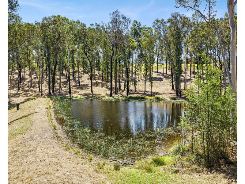 1562 PRINCES HIGHWAY, Bimbimbie NSW 2536