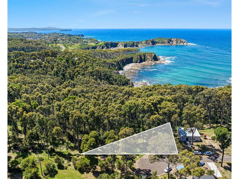 13 Dale Place, Rosedale NSW 2536