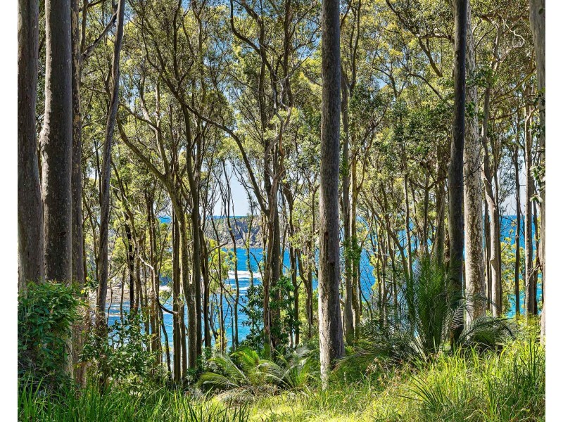 13 Dale Place, Rosedale NSW 2536