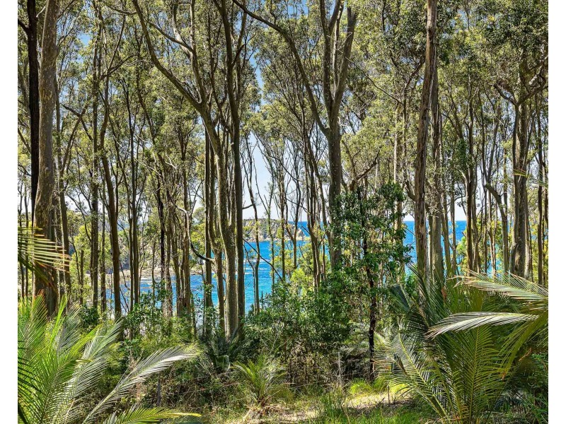 13 Dale Place, Rosedale NSW 2536