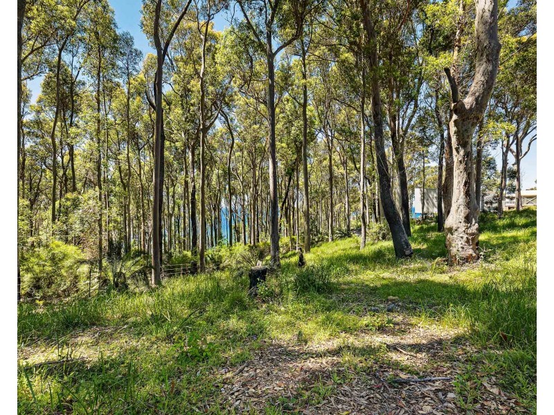 13 Dale Place, Rosedale NSW 2536