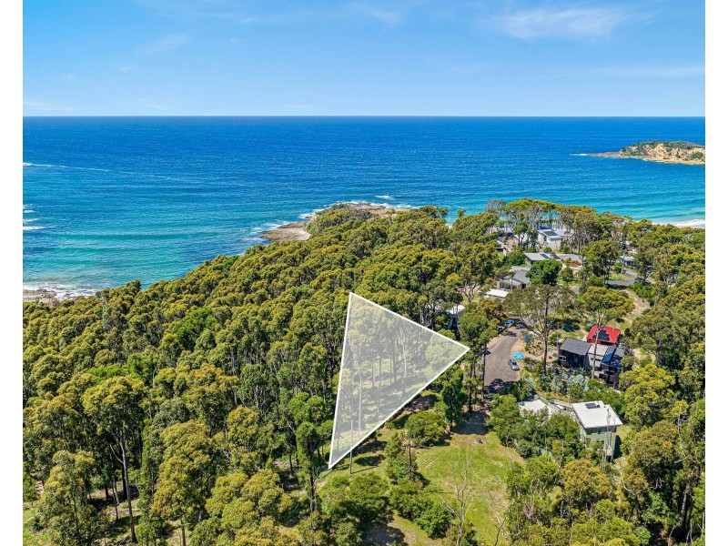 13 Dale Place, Rosedale NSW 2536