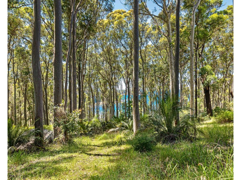 13 Dale Place, Rosedale NSW 2536