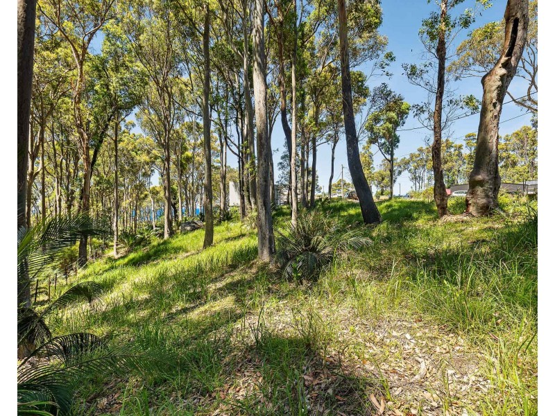 13 Dale Place, Rosedale NSW 2536