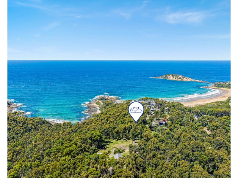 13 Dale Place, Rosedale NSW 2536