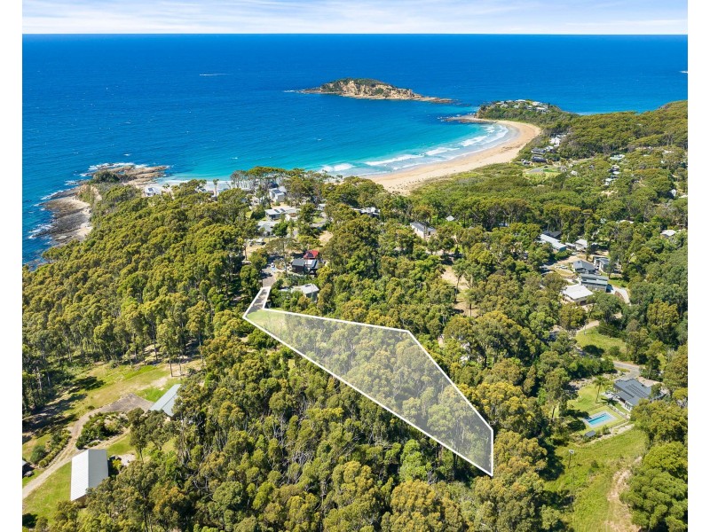 14 Dale Place, Rosedale NSW 2536