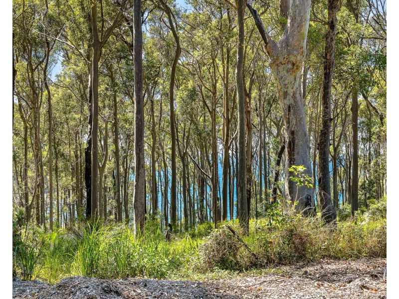 14 Dale Place, Rosedale NSW 2536