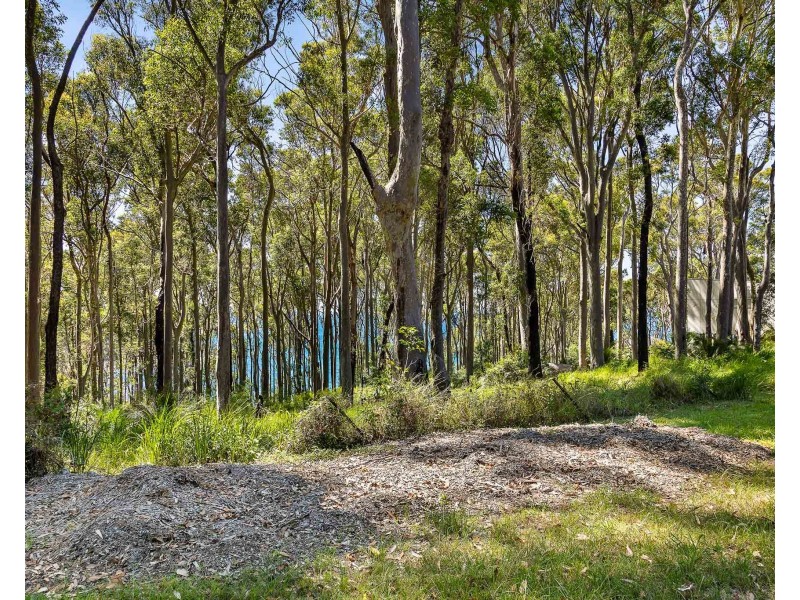 14 Dale Place, Rosedale NSW 2536