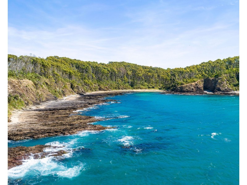 14 Dale Place, Rosedale NSW 2536