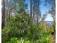 10 Beechwood Court, Sunshine Bay NSW 2536