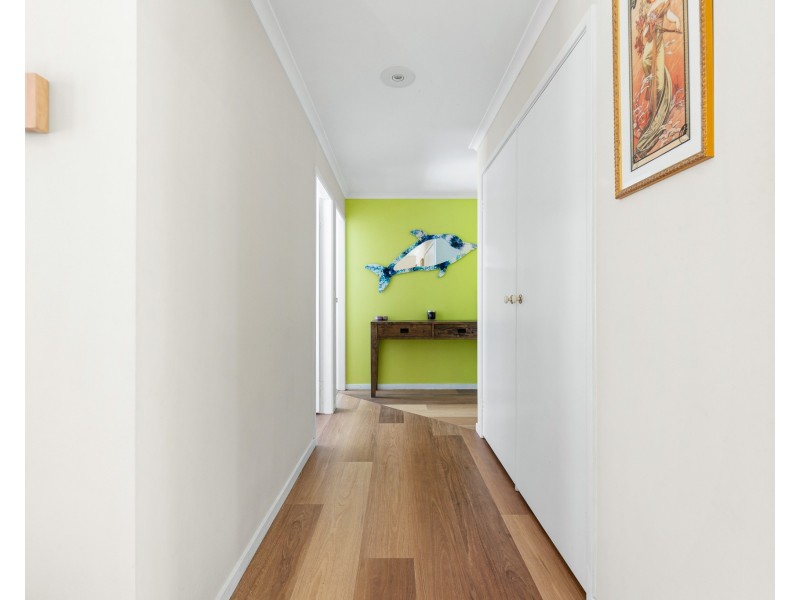 16 Allinga Close, Lilli Pilli NSW 2536