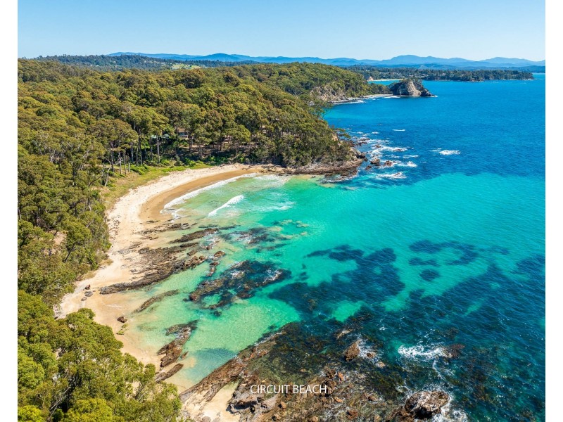 16 Allinga Close, Lilli Pilli NSW 2536