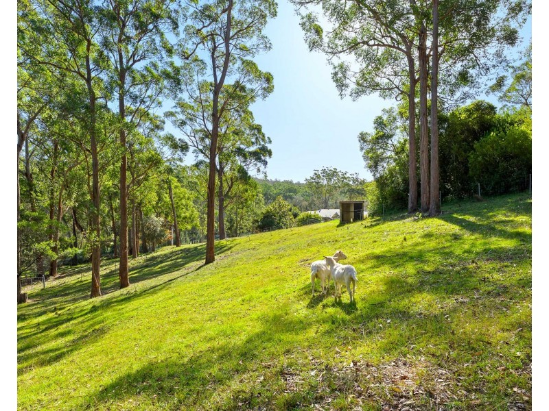 29 Timber Barge Lane, Benandarah NSW 2536