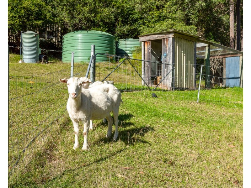 29 Timber Barge Lane, Benandarah NSW 2536