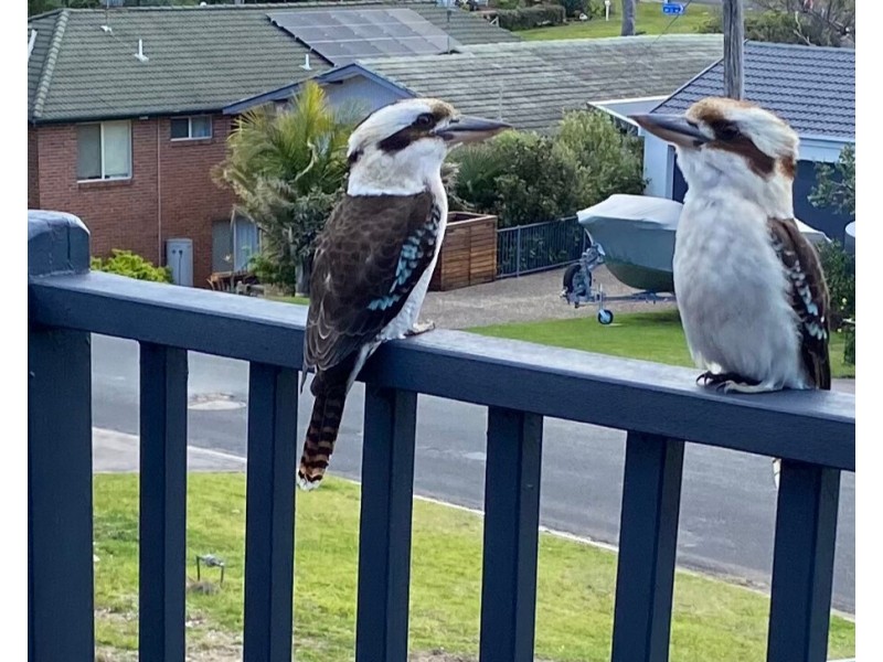 7 Iluka Avenue, Malua Bay NSW 2536