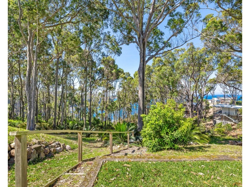 3 Dale Place, Rosedale NSW 2536