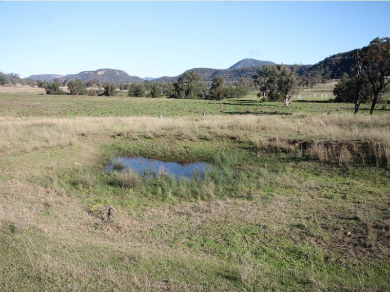 381 Greg Stairs Road, Gungal NSW 2333