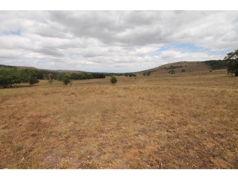 1947 PEMBROKE ROAD, Cassilis NSW 2329