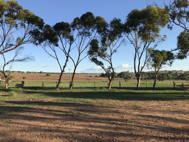 94 LAWLERS LANE, Merriwa NSW 2329