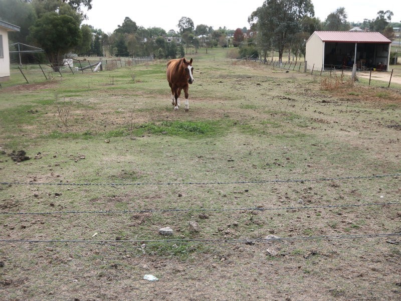 58 Bettington Street, Merriwa NSW 2329