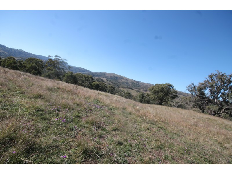 2284 PEMBROKE ROAD, Cassilis NSW 2329